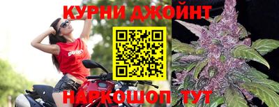мдпв Обь