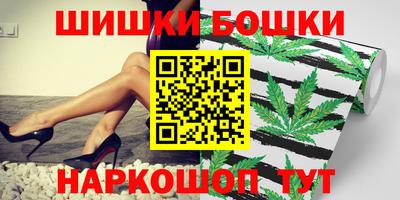 мдпв Обь