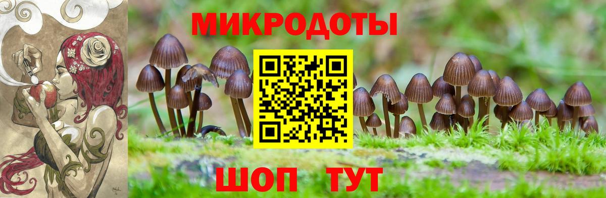 Псилоцибиновые грибы MAGIC MUSHROOMS Усолье-Сибирское