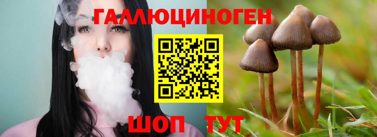 Усолье-Сибирское  что такое   Вход с VPN  Галлюциногенные грибы GOLDEN TEACHER 